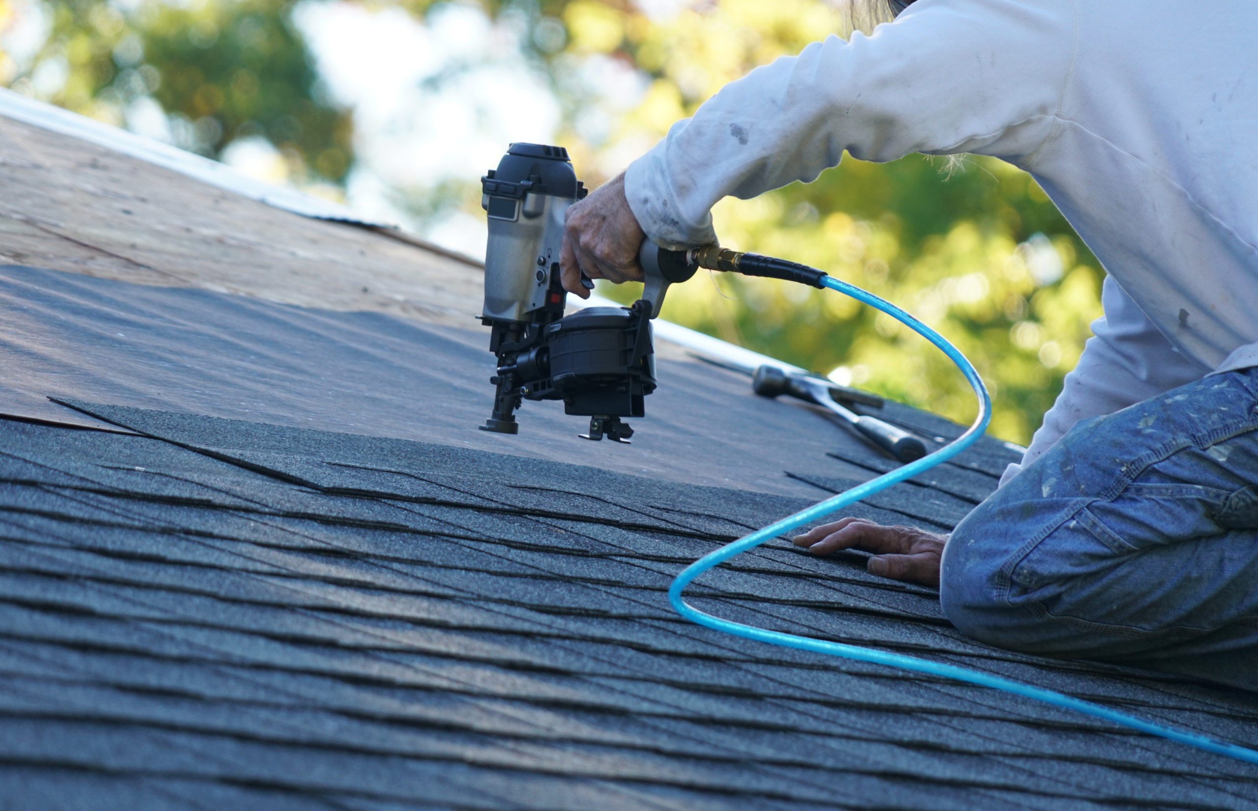 Shingle Roofing in Denver example 2